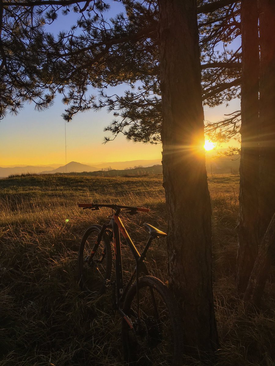 I luoghi perfetti non esistono, i momenti invece si...
—-
#biciclubitaliano #alba #bike #bikeforlife #cicloturismo #bikelife #mountainbike #mtb #buongiorno #buonadomenica #domenica #life #pedalare #liberta #ktm #sram #fox #freeride #downhill #cross #training