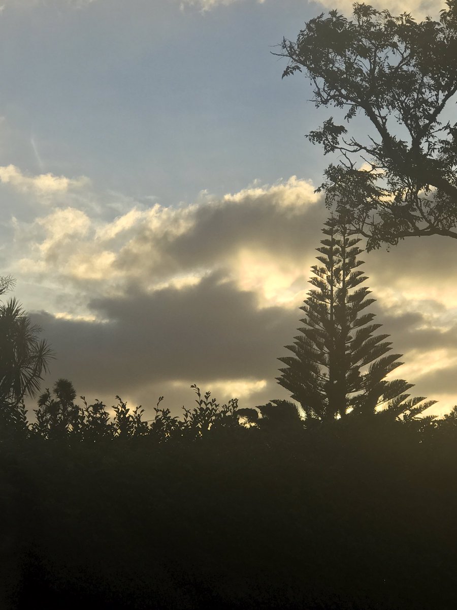 prettythingsnz's tweet image. #HerLightOurLove #GraceMillane ❤️❤️❤️