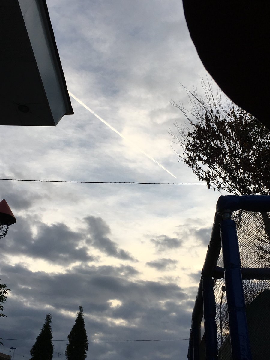 椿の花びらと飛行機雲☁️
( ´ ▽ ` )ﾉ

#外は寒い