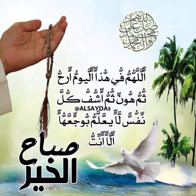 ابو مؤمل الطائي (@dcdalo5abjdex2i) on Twitter photo 