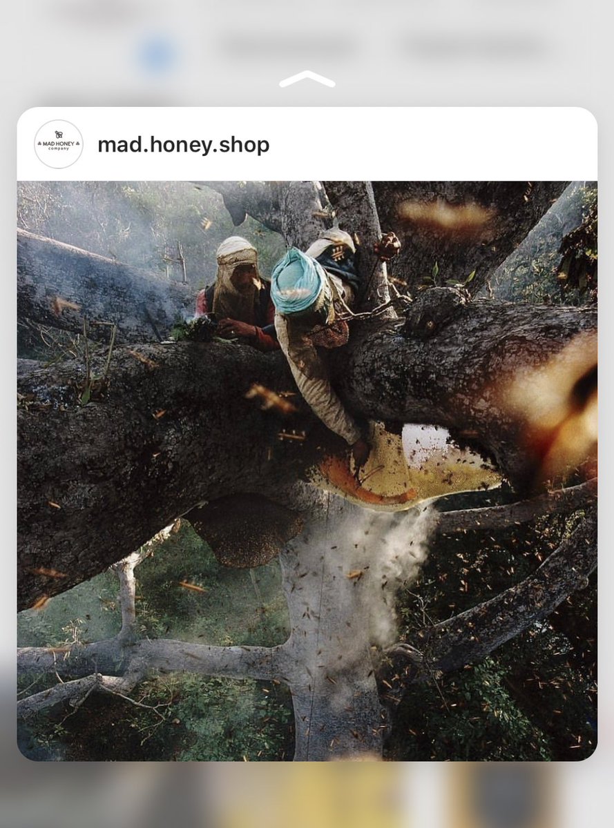 Mad Honey Company (@mad_honey_co) / Posts / X