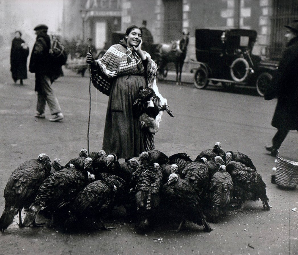madridmadrid__'s tweet photo. 1925. Cuando se acercaban las Navidades era muy típica la aparición de vendedores de pavos y de pollos que se ofrecían en la misma calle. Esta vendedora se encontraba en la Plaza de Santa Cruz.
.
.
.
.
.
I❤️MADRID
#Madridvintage #madrid #madridseduce #bnw #fotosmadrid https://t.co/nFczPFJqP0
