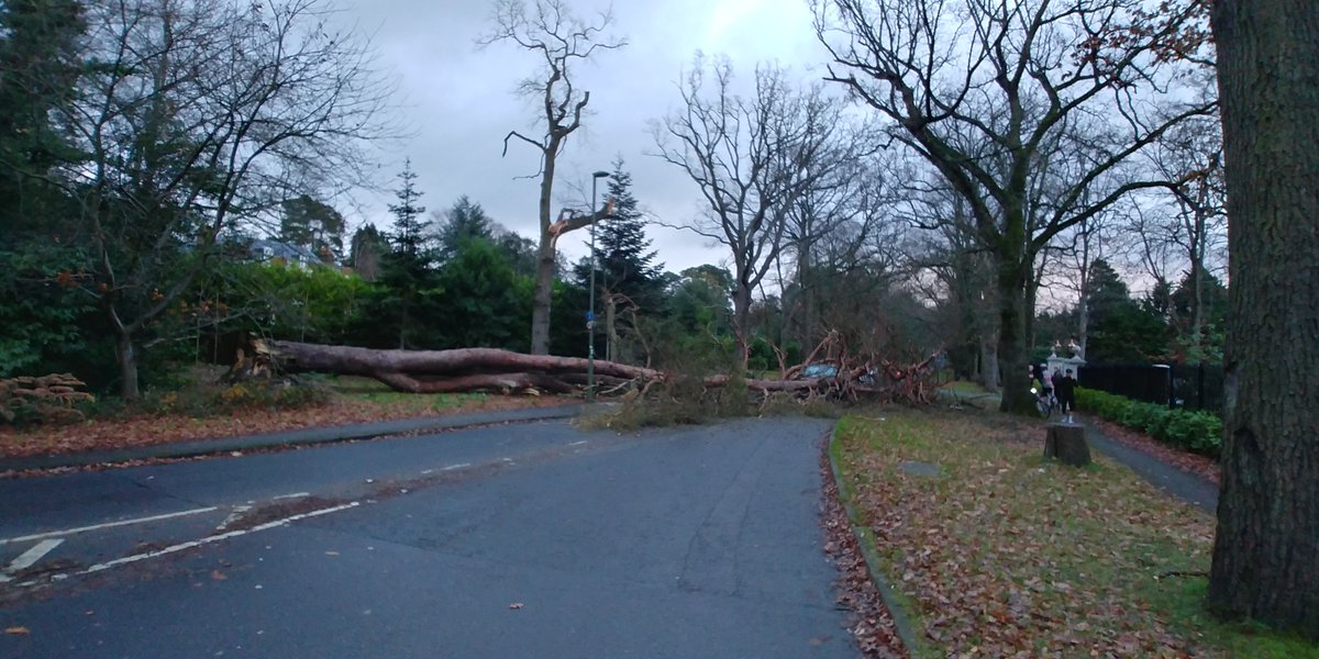 neoandsam's tweet photo. Stay safe out there peeps!! Missed this by less than a minute...there is a car crushed in there somewhere and amazingly the bloke is ok!! #virginwater #eagleradio https://t.co/JdTM3lJ4n1