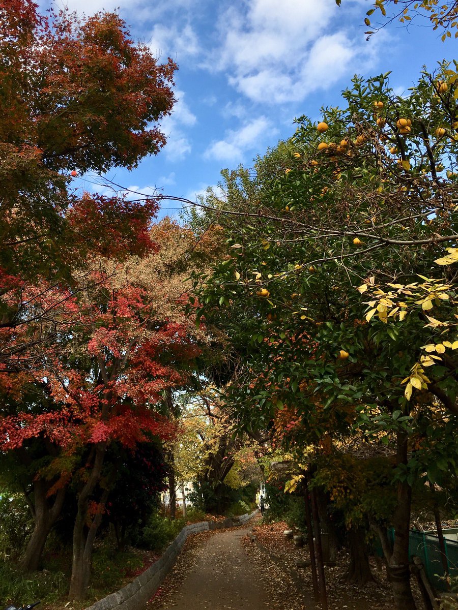 nomade-geek tweet media