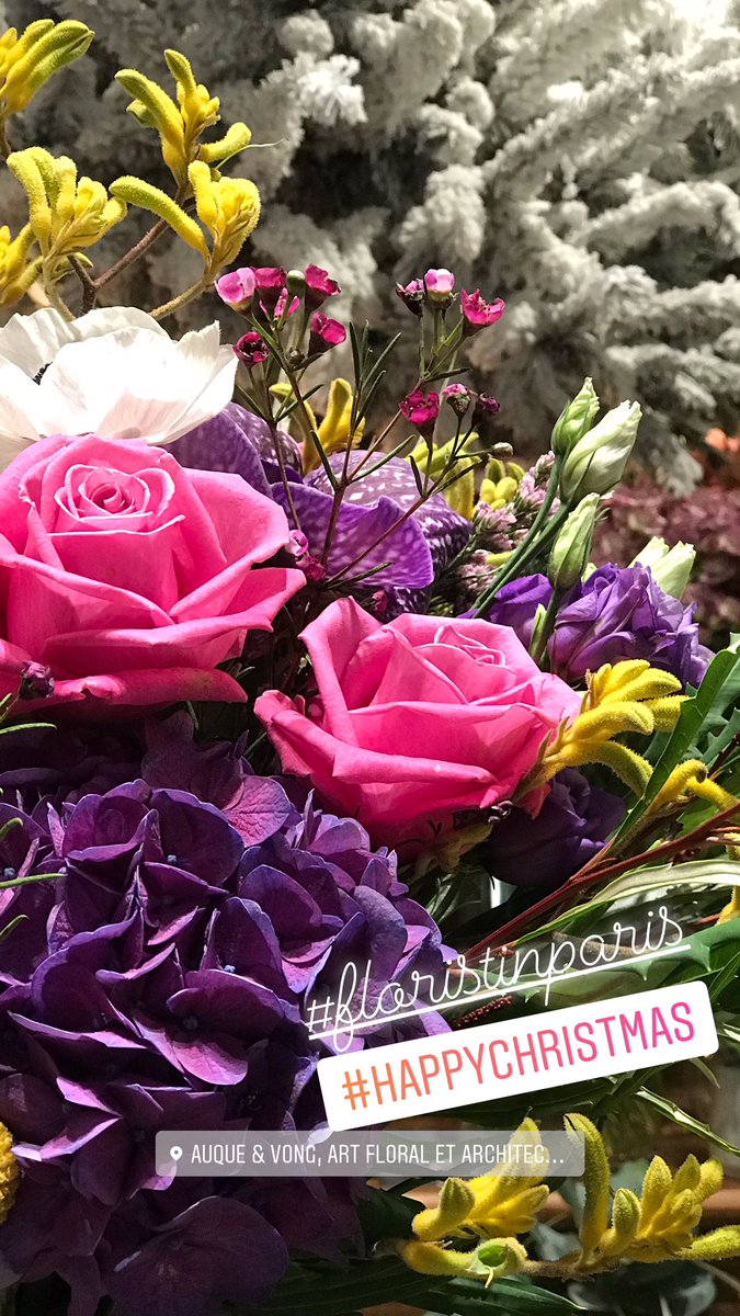 auque_vong's tweet photo. #happychristmas #fleuriste #paris #30ruedeCléry75002Paris #auqueetvong #decorator #events https://t.co/it4FMrEUKc