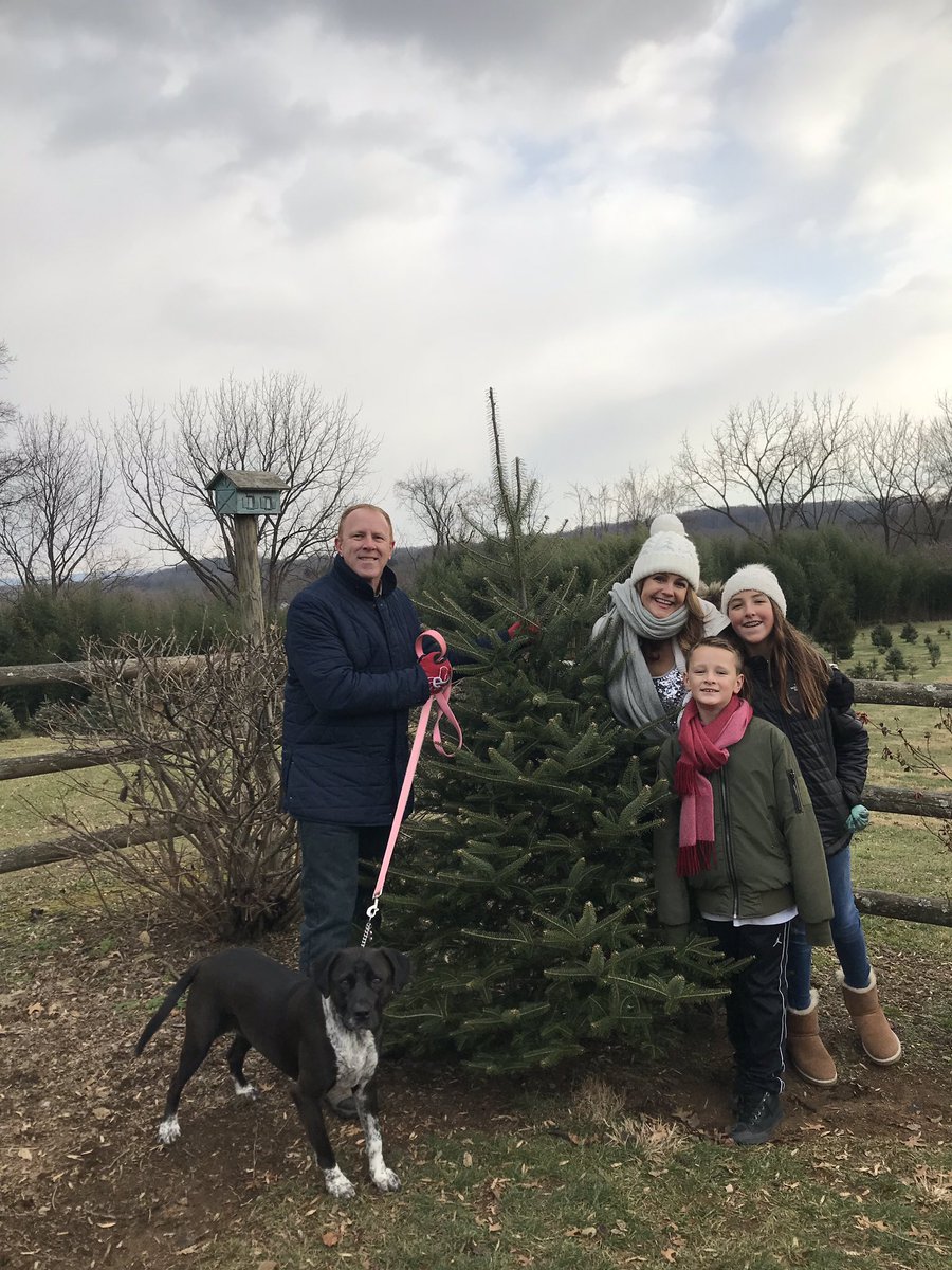 mcharlesworth7's tweet photo. Tree 🌲 day yesterday!  #MerryChristmas @HomeforGoodDogs with our rescue “Preshos” getting our tree at a tree farm in #Oldwick #NJ Saturday — so grateful and happy to make these memories.  #Blessed.  Wyndemere Farm Isabelle in her new boots 🥾💕😘🎄❄️⛄️had a few flurries too.  😊 https://t.co/Pv8uK4Z07q