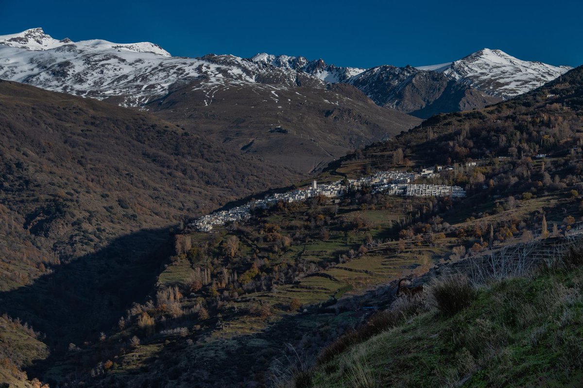 CasaIberoBubion's tweet photo. Los pueblos de la Alpujarra | Bubion
https://t.co/jxbKk6DFF2 | #laalpujarra #ilovealpujarra #casasrurales #casarural #casasconencanto #habitacion #ruralig #rural_love #rural #poqueira #escapada #planesdefinde #planconmascotas #planesconamigos #findeconamigos #findeconmascotas https://t.co/0BXbnqSqHW