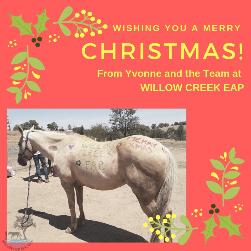 willowcreekeap's tweet photo. Wishing Everyone a Happy and Safe Christmas and New Year #drivesafe #christmas #eatingtoomuch #familyandfriends #Horseshelpingpeople https://t.co/JlOTbR3jeh