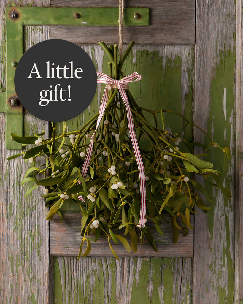 Order your box of flowers by Wednesday next week, and we will add a bunch of mistletoe in your box to add a little more magic to your festivities. #theoddflower

#underneaththemistletoe #festiveblooms #mistletoe #christmasblooms #christmasflowers