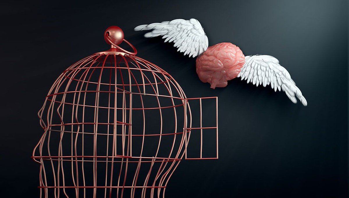 cerveauetpsycho's tweet photo. Sommes-nous vraiment libres ? En tout cas, si nous avons le sentiment de l'être, c'est grâce à deux réseaux de neurones récemment identifiés.
https://t.co/sGm5Zj6LbI https://t.co/yOtQCSWxlN