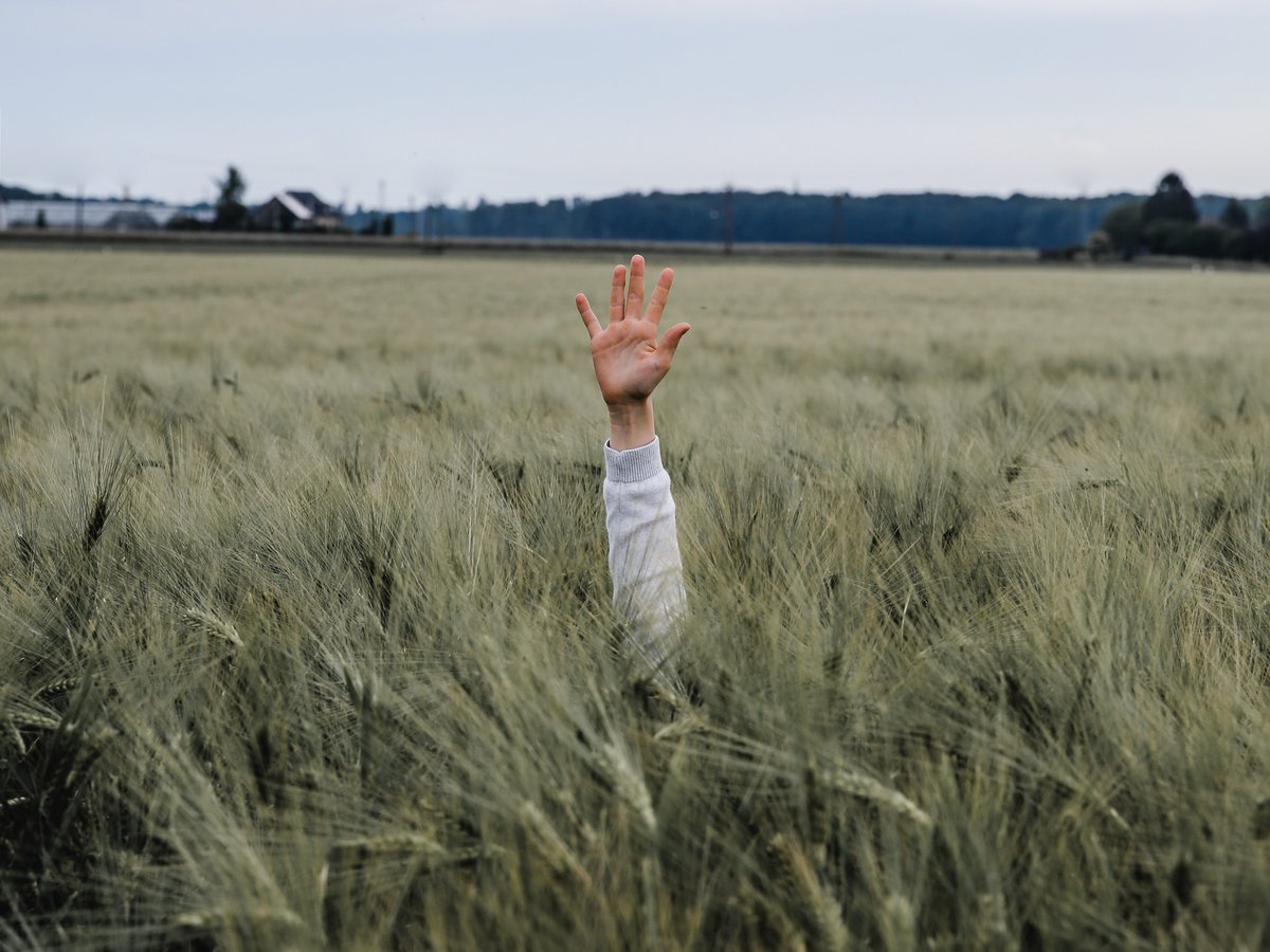 Meer opdrachten converteren? Neem onze vijf tips door en ga aan de slag! #marketing #sales #startups #conversie #klantwerving #omzet 
movements.marketing/vijf-tips-om-m…