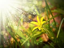 @Anand💓 (@anand55778899) on Twitter photo 