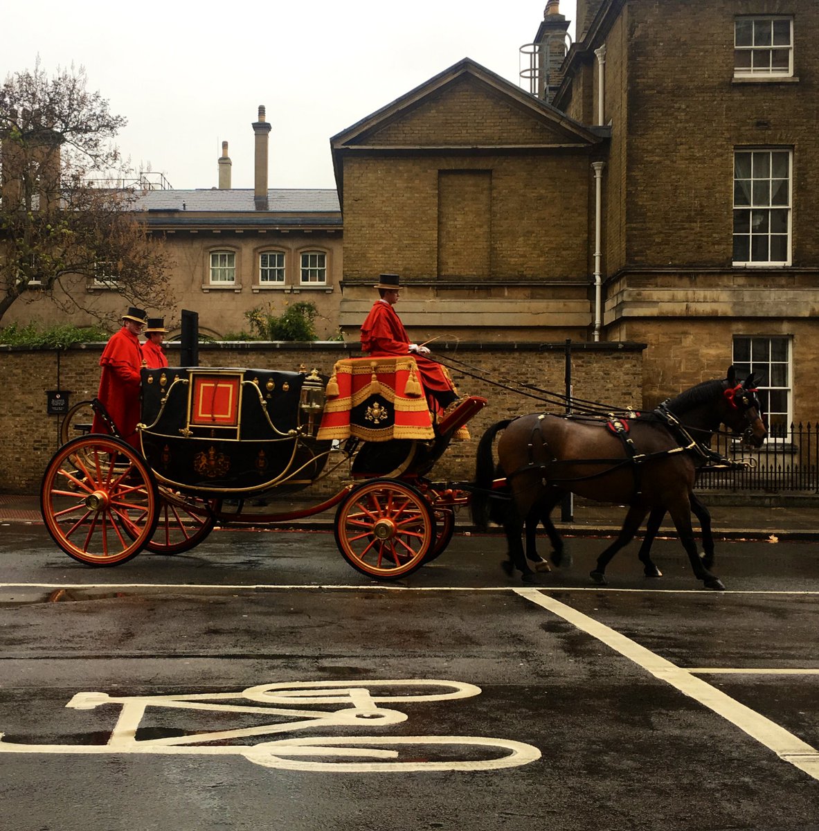 Such a beautiful site this afternoon, despite the rain. Gorgeous carriages & royal horses from the Royal Mews #buckinghampalace #royalmews #London #rain