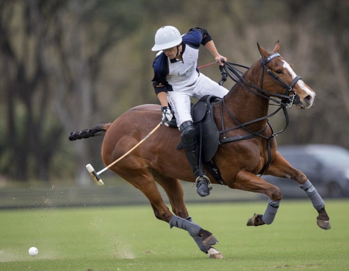 The boys head back to #Palermo today, November 27, to take on La Dolfina Polo Ranch in the Argentine Open Championship. Vamos los pibes! #APPLplayers #FullSpeedPolo #LaEnsenada