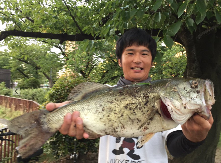 バス釣り 春のトップウォーターは意外と効果的 その理由とは タックルノート
