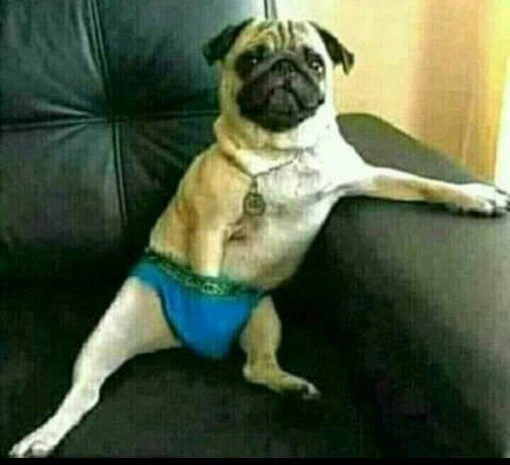 AnganileKaponda's tweet photo. Vile tunasubiria maagizo aliyotumwa mpambanaji wetu ngoyai toka Kwa #stone https://t.co/uOIZWcyadb