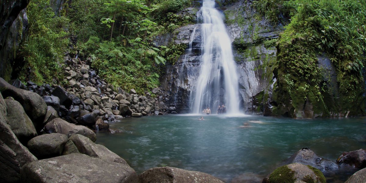 Athens Abroad tweet media