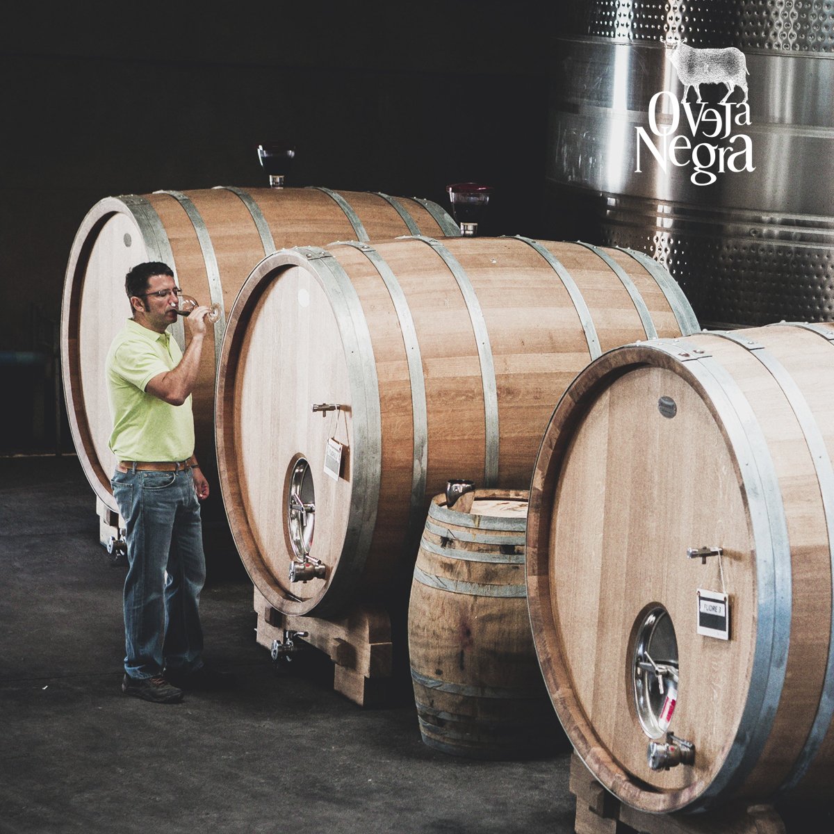 Desde nuestra bodega creamos los más distintivos blends, envejecidos durante 12 meses en fudres de roble francés, tanto nuevas como usadas. Estos fudres son especialmente para nuestros vinos Single Vineyard ¿Has probado alguno? #VinosOvejaNegra #Blends