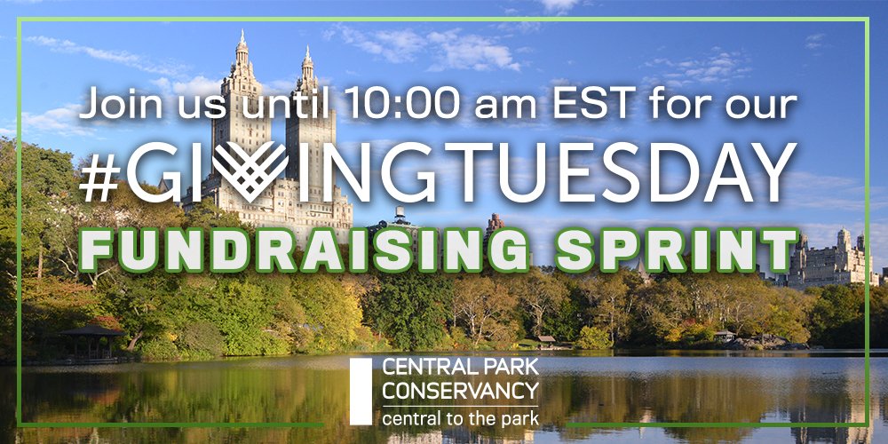 Our special one-hour fundraising sprint to support Central Park begins NOW! We're aiming to raise $500 on Twitter by 10:00 am EST. Make your gift through this link and help us reach our goal — all gifts are matched: bit.ly/2OM4fMW #GivingTuesday