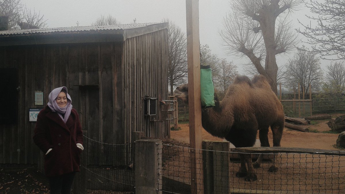 Finlay Campbell tweet media