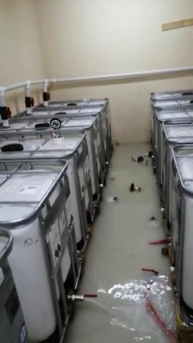 View image on Twitter