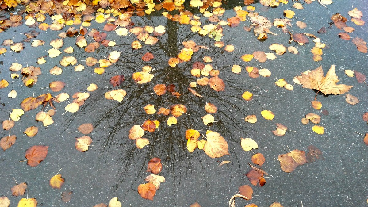 SemreCe's tweet image. 