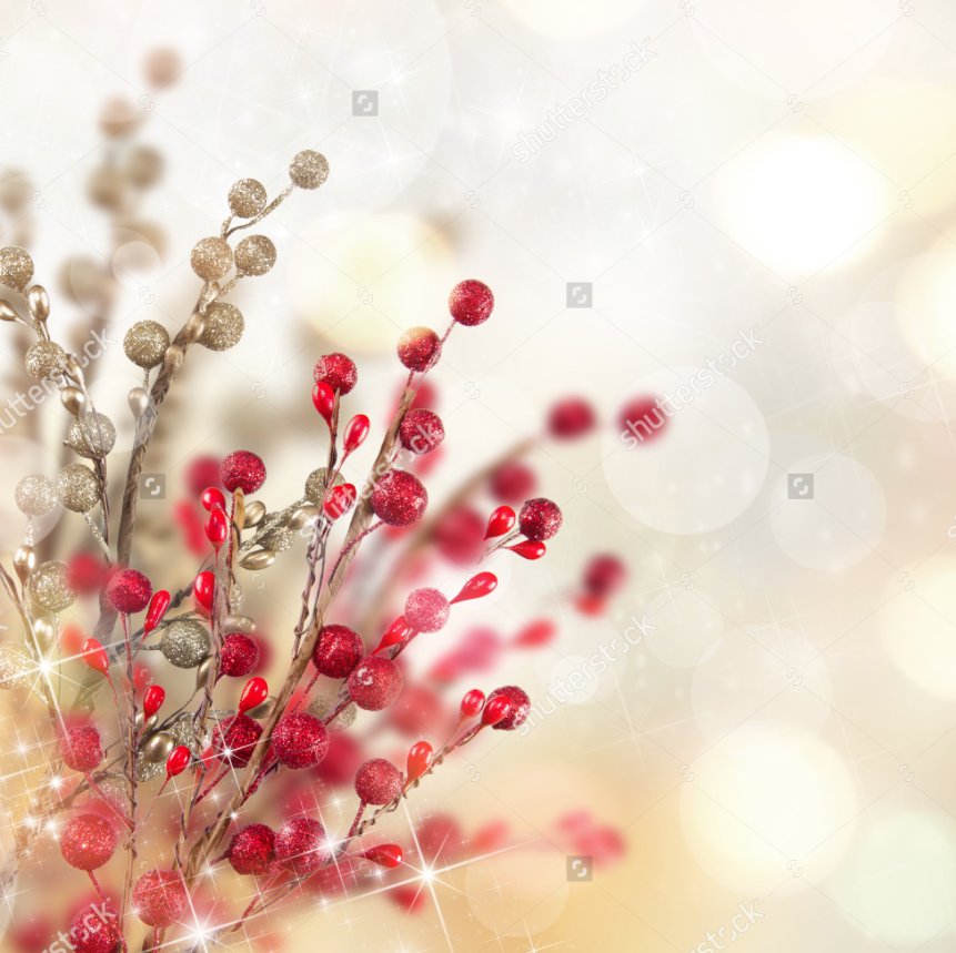ImagesBlog's tweet photo. Happy Holidays curated collection https://t.co/3UYGUIT9Er #holiday #season https://t.co/hzrzgQbW4z