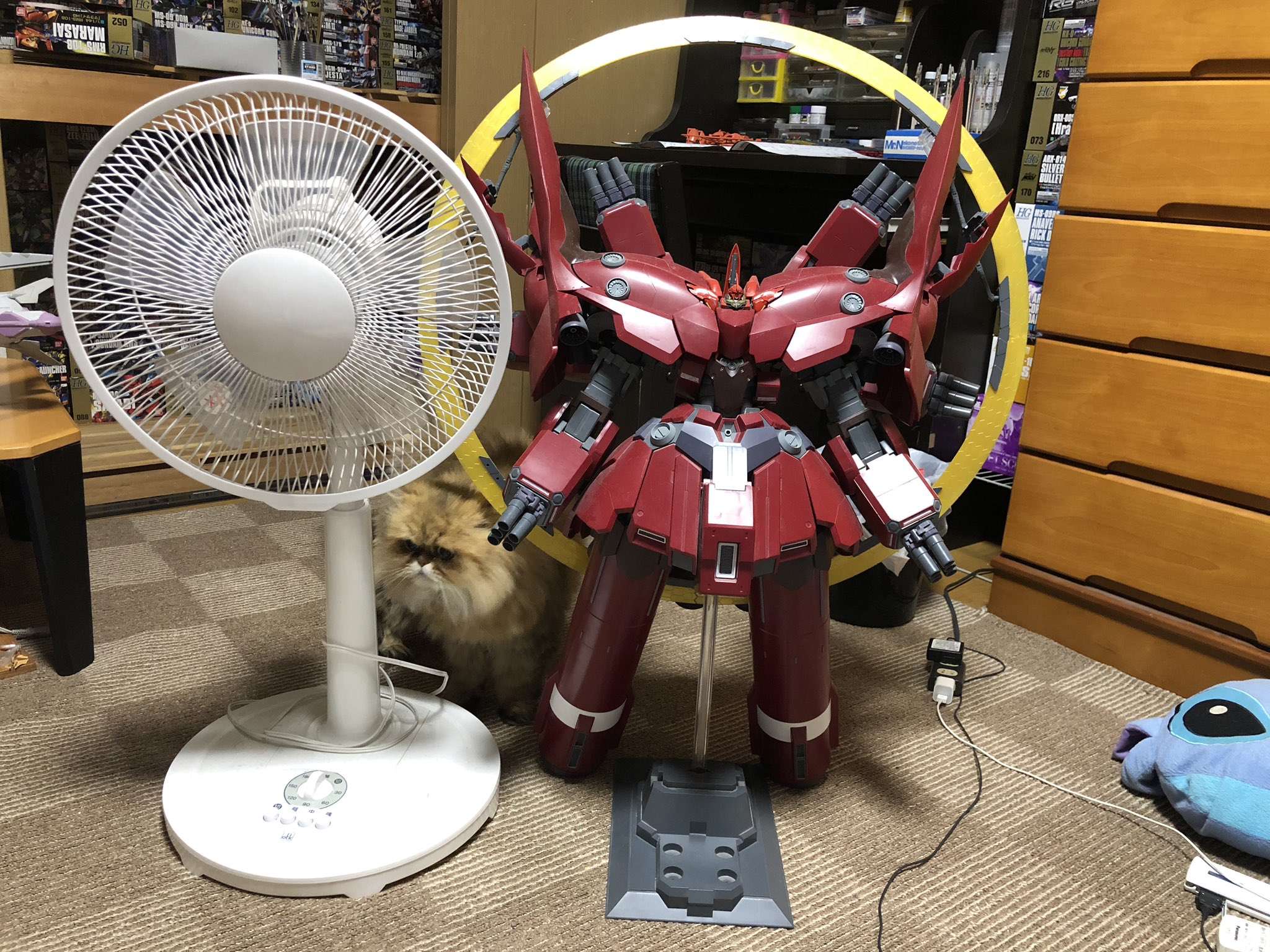 クノティス on X: クノティス on X: