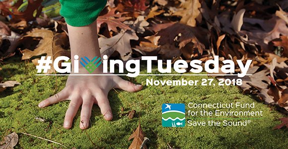 CTEnvironment's tweet image. Giving Tuesday is finally here, and we have big news—thanks to a generous donor, your donations today will be matched dollar-for-dollar up to $6,000! Use this link to make your gift, and retweet to help spread the word: bit.ly/cfegt18 #GivingTuesday #exploreCT