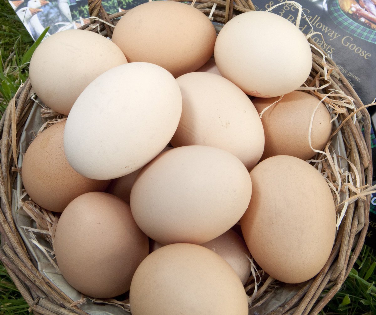 I'm urgently looking for photos of D&amp;G's food &amp; drink production, manufacturing and service sectors for the new regional f&amp;d strategy. I'm looking for people as well as produce, and photos with a bit of a story behind them. Got something? Send to lorna@dgfoodandrink.org