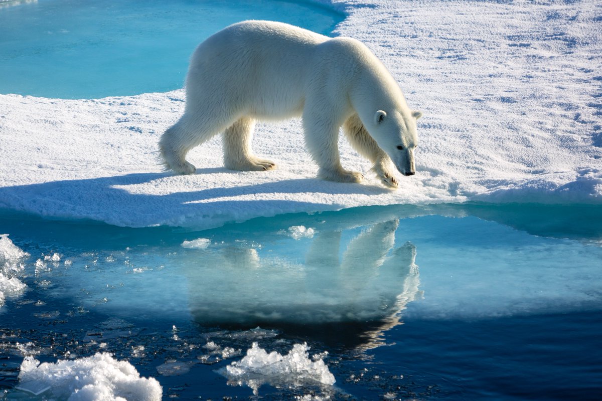 R. Andreas Kraemer (@rakraemer) on Twitter photo An Arctic #footprint & policy assessment, involving natural & social sciences and indigenous knowledge, is what #Germany needs to understand her #Arctic impact, its causes and what to do about it.
<a href="/Umweltbundesamt/">Umweltbundesamt</a> @bmu #ArcticBerlin @BMBF_Bund
thearcticinstitute.org/responsibility… An Arctic #footprint & policy assessment, involving natural & social sciences and indigenous knowledge, is what #Germany needs to understand her #Arctic impact, its causes and what to do about it.
<a href="/Umweltbundesamt/">Umweltbundesamt</a> @bmu #ArcticBerlin @BMBF_Bund
thearcticinstitute.org/responsibility…