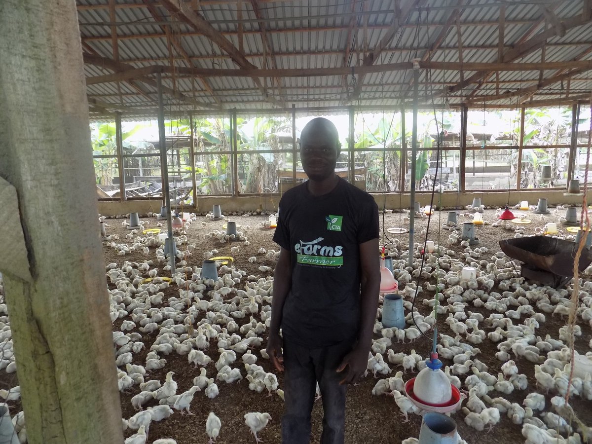efarms_ngr's tweet photo. Allow us take you on a tour to one of our farms where we daily #empowerfarmers.Its amazing how much lives are changed daily. Don't you just love those beautiful chicks @efarms_ngr #transformingtheeconomy #empoweringfarmers
#TravelTuesday https://t.co/l1Q0sSidrd