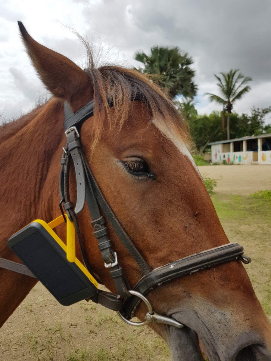 SUNCITYGLOBAL1's tweet photo. Be travel ready with our SOLAR POWER-BANK to keep your phone and other gadgets charged whilst on the move.... #suncityglobal #gambia #Suncitysmilingcoast #africa #senegal #solar #solarenergy #solarpower #solargadgets #phonercharger #phoneaccessories #sunshine #LightUpYourLife https://t.co/3zLnZWa4Bp