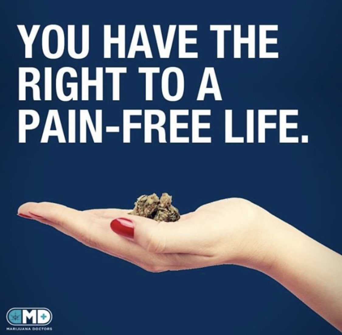 mzstoned's tweet image. 