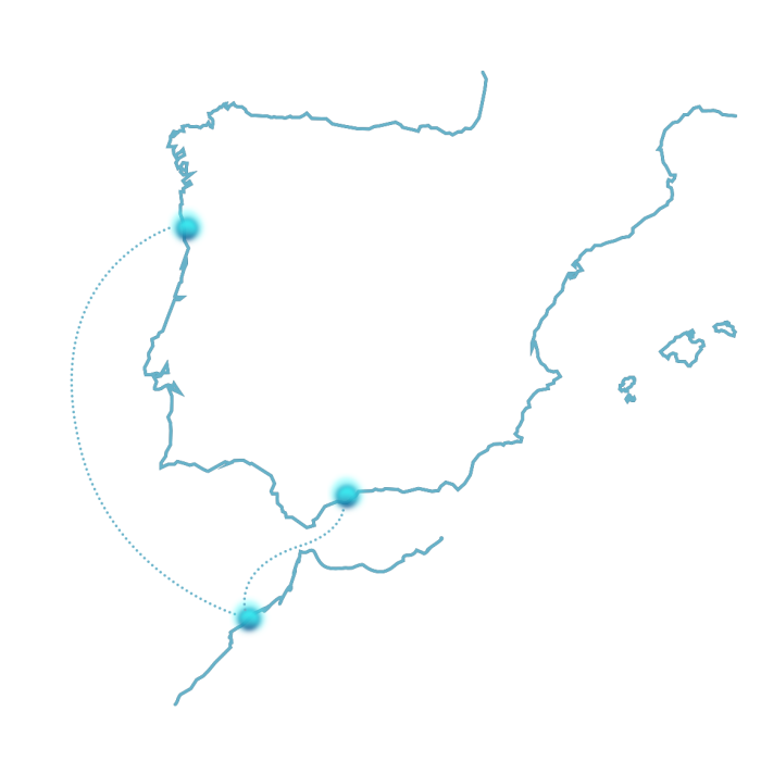 SICruise tweet media