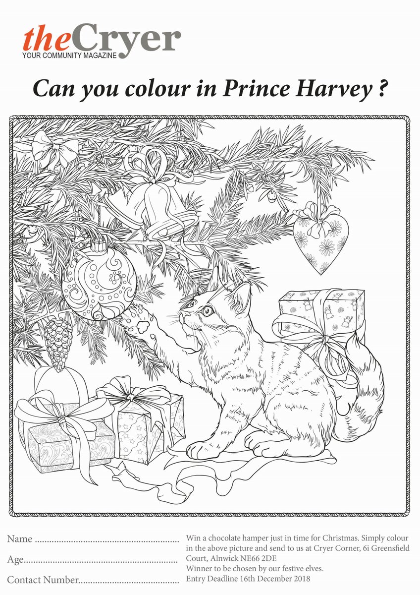 Here is our Christmas colouring competition🖍️ to win an amazing chocolate hamper😍 Adults get this printed for your little people and return to the address below for our office elves to pick us a winner!🧝‍♀️🧝‍♂️