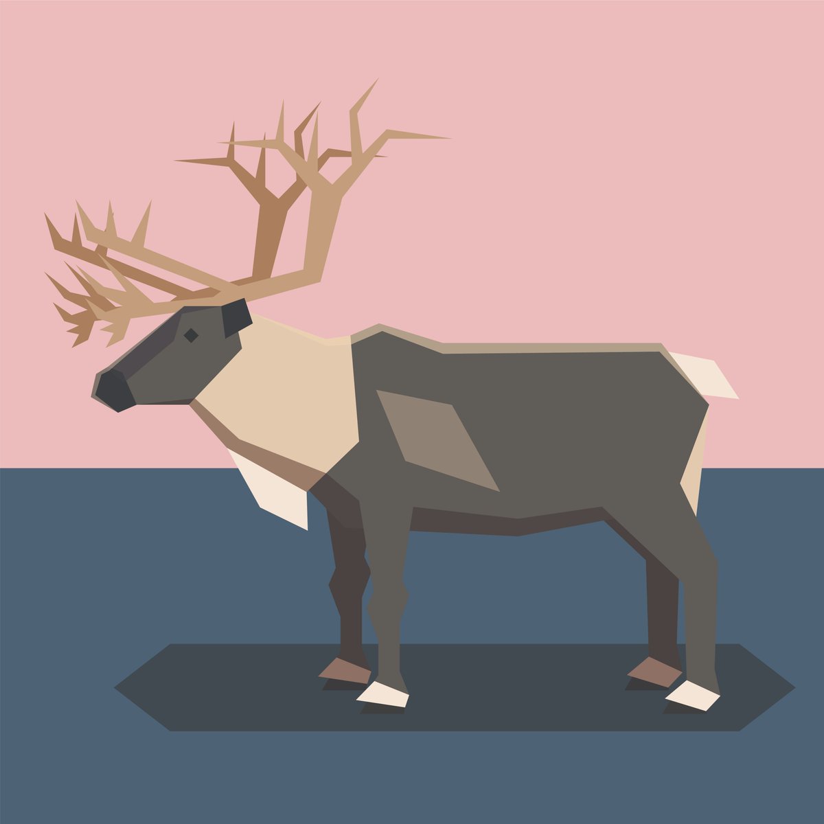 VectorState's tweet photo. Less than a month to Christmas! 
See our festive light-box for inspiration: https://t.co/LlwZhfng88 https://t.co/z1ZAVEo14V