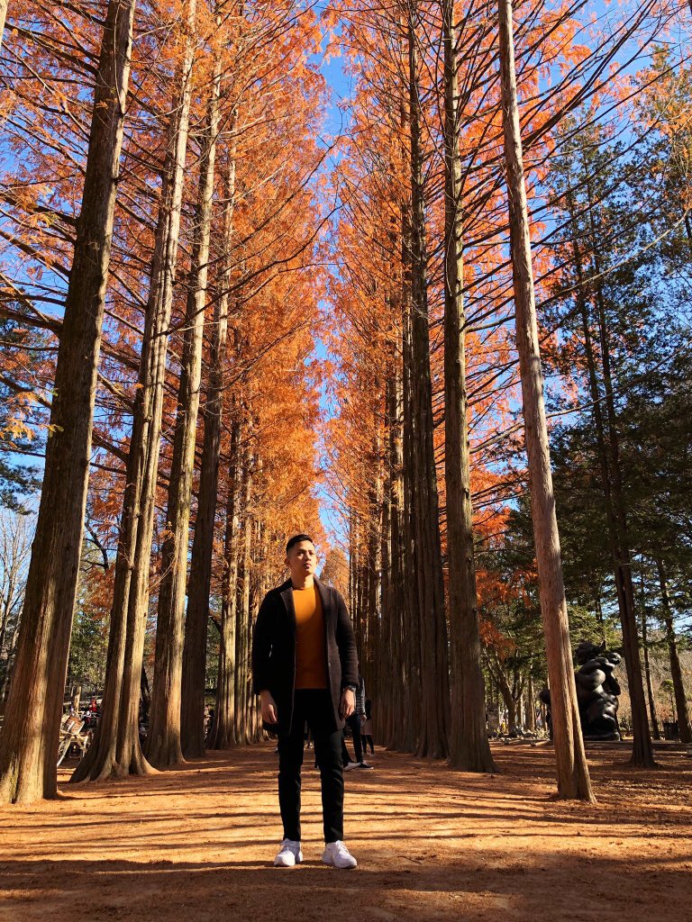 lespes's tweet photo. Autumn in 🇰🇷🍂 https://t.co/SnNeVyC4yi
