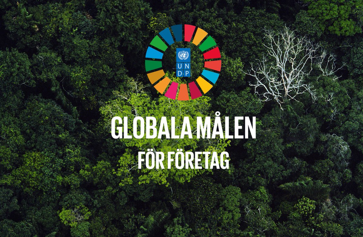 The private sector plays a key role in achieving the #GlobalGoals. Check out our new site with inspiration for how your company can contribute to sustainable development! 💡globalamalen.se/foretag💡

#HallbartNaringsliv