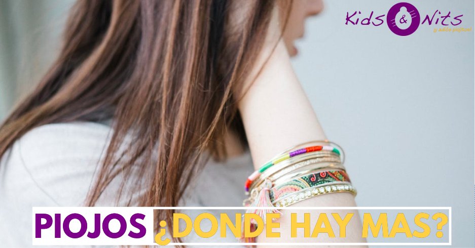 Los #piojos se mueven por toda la cabeza, depositan las #liendres en el flequillo, la nuca y detrás de las orejas. Son zonas donde menos se rompe el pelo habiendo mayor posibilidad de que los huevos prosperen. Además de ser las zonas + calientes y perfectas para su supervivencia