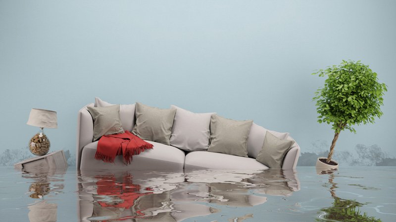aFlooringGuide tweet picture