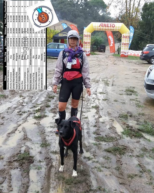agilitybaix's tweet photo. 🥉 Nuestra Súper woman Carmen con Pancho ha quedado tercera en la carrera de orientación y resistencia #dogtrekking de 28 km en Montnegre!! Ahí lidiando con la lluvia, el barro y el GPS!! Muchísimas Felicidades pareja!!! En El Baix estamos que nos sal… https://t.co/vBVJs6bS3x https://t.co/V7bAzzx6wp