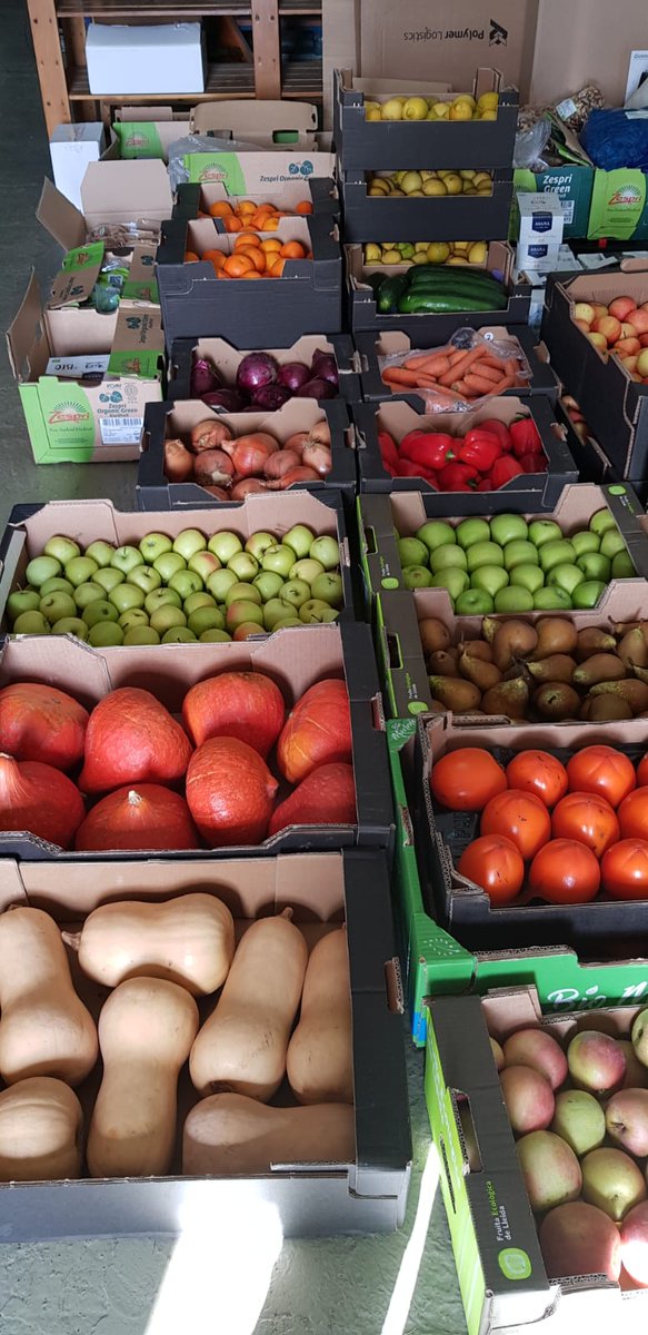 nbioespacio's tweet photo. Nos acaba de llegar a la tienda esta fantástica fruta y verdura biológica. Ven hoy mismo a hacer tu compra de productos frescos y saludables! 
#tiendabio #frutas #verduras #productosorganicos #saludable #comesano #alimentatuvida #BioEspacio #Arrecife #biomarket https://t.co/nGrgZbpsAI