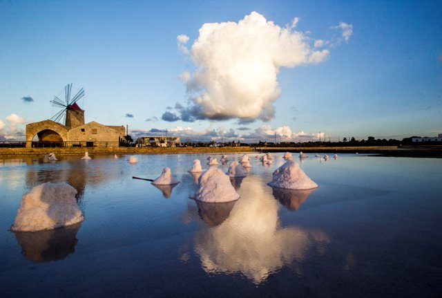 Feedback Adv tweet media