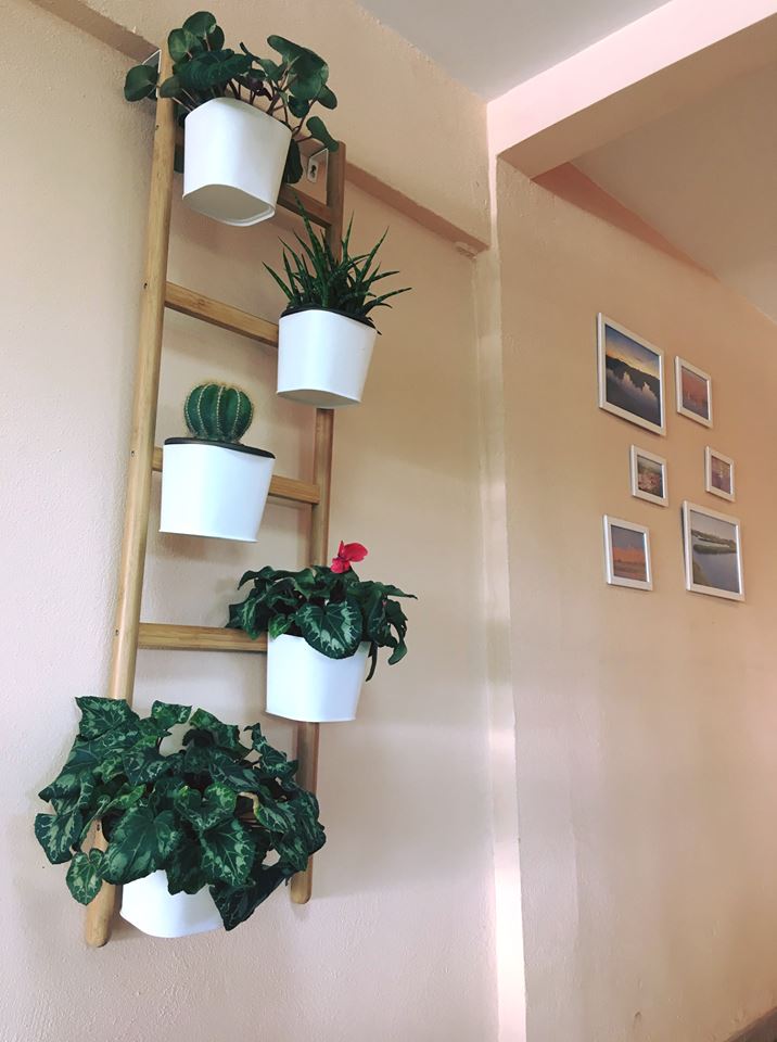 Inferco's tweet image. En invierno, verde en tu interior!🌿🌱🌵
Es cierto eso de que las plantas alegran el hogar, en nuestro caso, también nuestra oficina!🏠Y después de las lluvias y los días grises que hemos pasado, es un gustazo ver este verde aquí dentro!