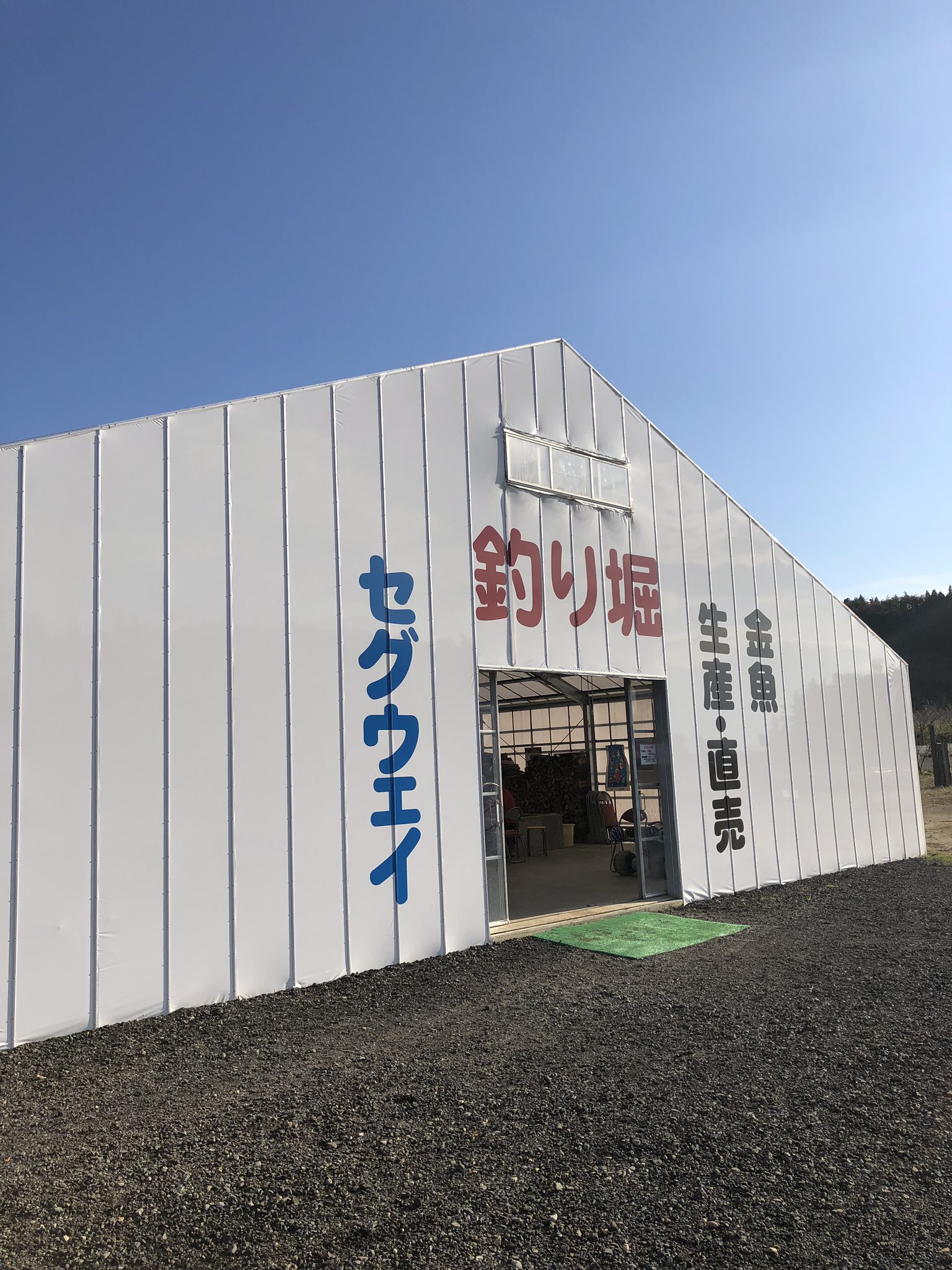 ピナロー On Twitter 先日 新潟県長岡市にある いやしの郷 に行って新潟の地金魚 玉サバの釣り堀を楽しんできました 1時間で20匹くらい釣れて 釣れた魚を嫁さんと合わせて4匹お持ち帰り 販売してる金魚も