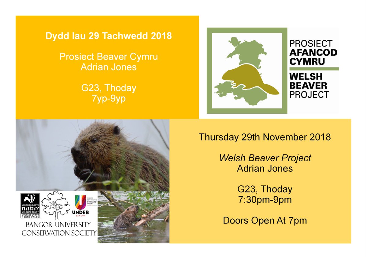 Come and join us as Adrian Jones talks about the Welsh Beaver Project! Thursday, G23, 7pm! #welshbeaverproject #conservation #beavers #ukconservation #bringbackbeavers <a href="/WildlifeTrusts/">The Wildlife Trusts</a> <a href="/beaverafanc/">Welsh Beaver Project</a>