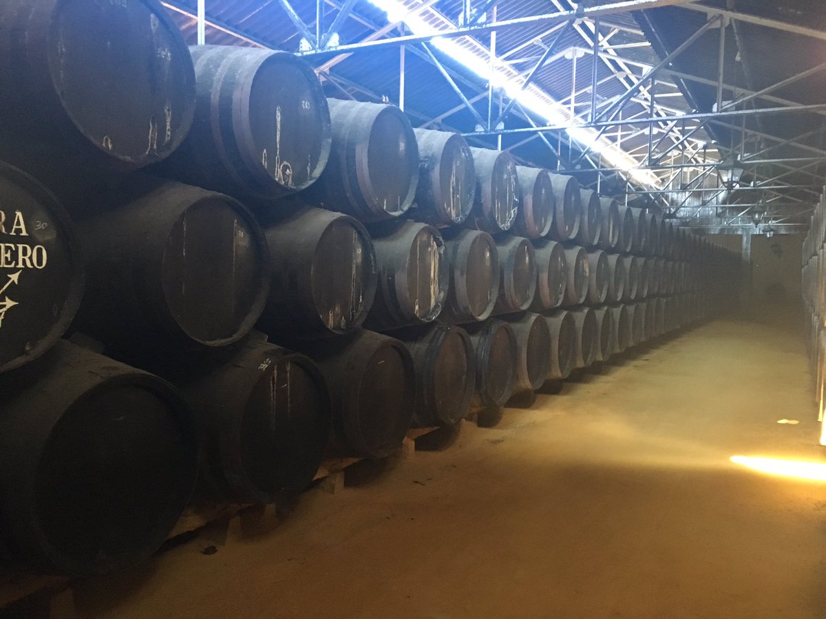 ¿Hay algo mas magico que una bodega? <a href="/vinosdomm/">Consejo Regulador DOP Montilla-Moriles</a> <a href="/PerezBarquero/">PÉREZ BARQUERO</a> ¡que vinos!
