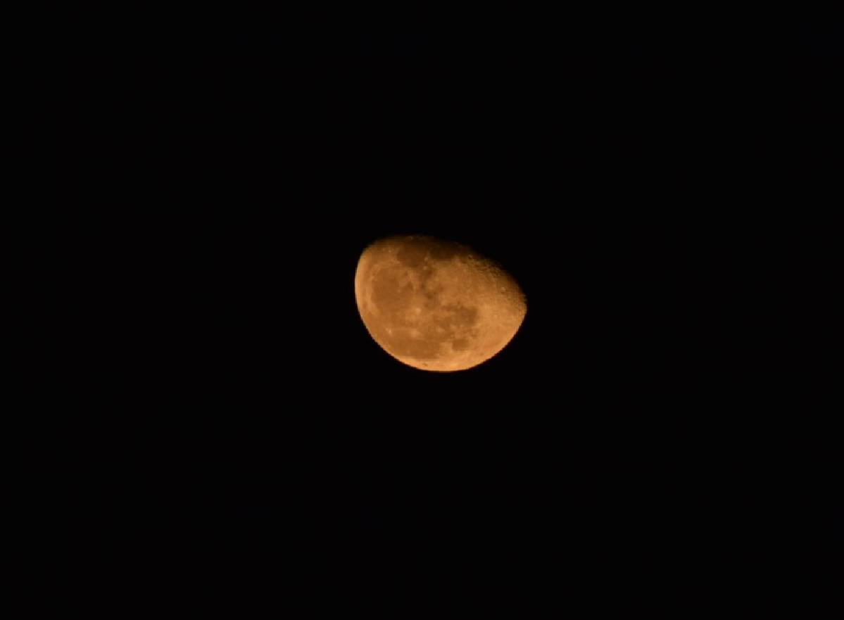 MiYuiitan's tweet photo. 今日のお月様🌙🌠
はオレンジ色ですね
(´｡･∀･｡｀)

#写真好きな人と繋がりたい 
#月 https://t.co/wbJMuP2eEJ