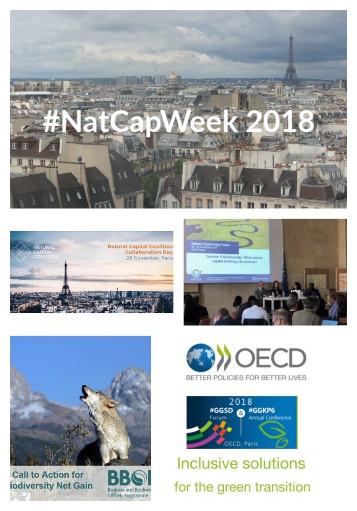 ecoacsa's tweet photo. Hemos llegado a París para representar al movimiento español del #capitalnatural durante la #NatCapWeek, donde compartiremos experiencias y avances que desde España estamos impulsando junto a organizaciones comprometidas y responsables con nuestra naturaleza #NatCapFactory https://t.co/IWPzOwqikJ